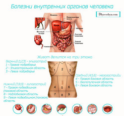 болезни внутренних органов человека